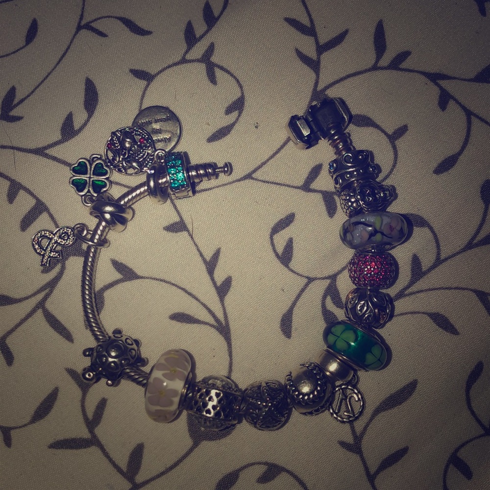 Entire bracelet and charms